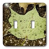 RinaPiro - Nature - Green leaf with drops of rain - Light Switch Covers - double toggle switch (lsp_211747_2)