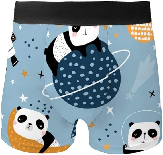 Amazon メンズ ボクサーパンツ ブリーフ 眠っている パンダ柄 可愛い ボクサーブリーフ 快動ボクサー 下着 通気 吸汗 ローライズ 男性用 アンダーウェア インナー 水泳パンツ 抗菌防臭 ストレッチ 前閉じ プレゼント 肌着 1枚セット やわらか ボクサー 通販
