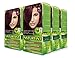 Naturtint Permanent Hair Color 4I Iridescent Chestnut (Pack of 6), Ammonia Free, Vegan, Cruelty Free, up to 100% Gray Coverage, Long Lasting Results