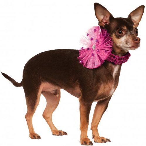 Rubies Costume Company Pet Necklace Collar