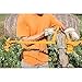 Goldenrod (405) Fence Stretcher-Splicer