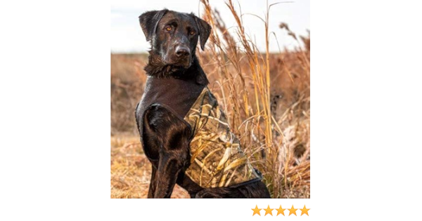 browning dog protection vest