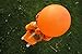 LeeSky 30Pcs Halloween Balloons & 12Pcs Confetti Balloons - Orange & Black - Halloween Party Decorations, Arch Kit, Baby Shower Decor