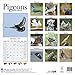 Pigeon Calendar - Cute Animal Calendar - Calendars 2019 - 2020 Wall Calendars - Animal Calendar - Pigeons 16 Month Wall Calendar by Avonside