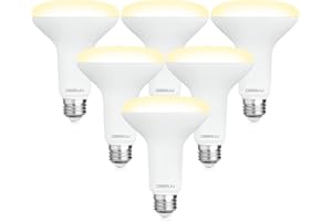 DEGNJU BR30 LED Bulb, Dimmable Flood Lights Indoor CRI80 7W Equivalent 65W 2700K Soft White 650 Lumens, 15000 Lifetime Hours Recessed Light Bulbs, Interior E26 Base LED Can Light Bulbs, 6 Pack
