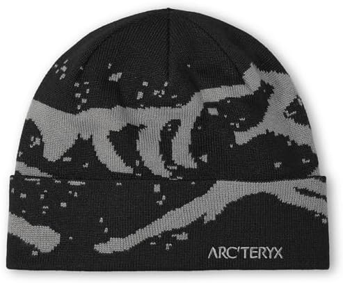 Amazon.com: Arc'teryx Rho LTW Beanie | Lightweight Wool Blend