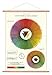 Cavallini Vintage Color Wheel Hanging Poster Kit