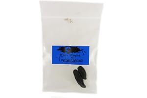 MOON MAGICK Tonka Beans Raw Herb 8 Beans
