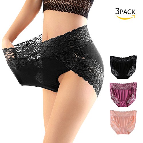 Womens Lace Panties Sexy Intimate Lingerie Sheer Hipster Underwear 3 Pack Briefs