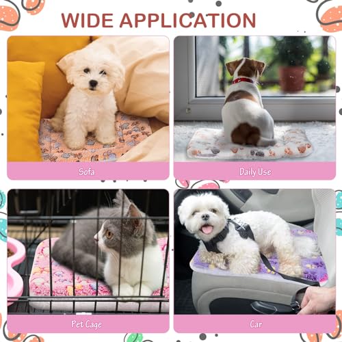 Soft Pet Bed Mats, 33 x 47 cm Cozy Fleece Dog and Cat Crate Kennel Pads with Cute Prints, Washable and Thickened - Ideal for Hamsters and Guinea, 4 PCS