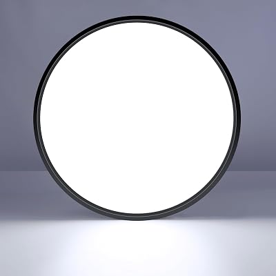 LightingWill 40cm LED Flush Mount 24W 3800lm 6000K Black Round Ceiling Light