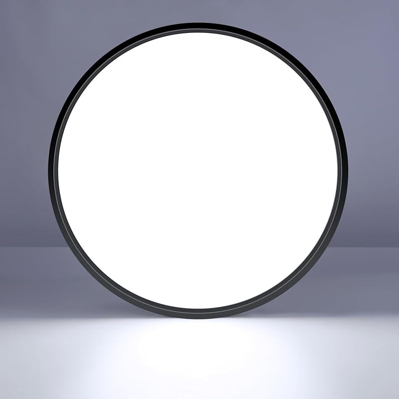 LightingWill 40cm LED Flush Mount 24W 3800lm 6000K Black Round Ceiling Light
