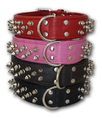 Spiked Studded Leather Dog Collar, Wide, Padded, Double-Ply, 22" x 1.5", Black, Leather (Amsterdam) Boxer, Retriever, Pit bull Terrier