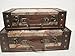 Set of 2 Old World Map Wooden Suitcase Trunk Box