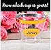 100 Gold Rimmed Plastic Cups With 100 Labels ~ Fancy Wedding Party Cups ~ 9 Ounce Disposable Wine Glasses ~ Old Fashioned Bar Tumblers with Gold Trim