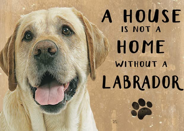 Small (150 x 200mm) Metal Sign - A House is Not a Home - Yellow Labrador