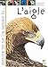 L'aigle (French Edition) by 