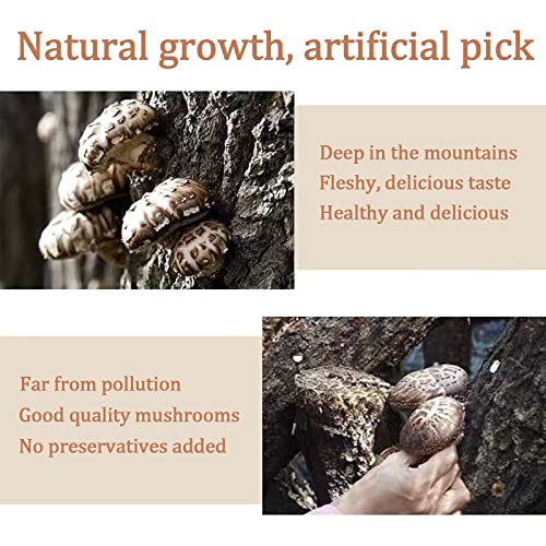 Yan Hou Tang White Flower Shiitake Mushrooms Premium Grade Dried Mushrooms Nutritious All Natural Soft Texture Fresh Flavor Dehydrated Whole Mushrooms 4 oz 112gram