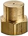 Dramm Seedling Nozzle, Solid Brass for Fragile Plants, Delicate Seedlings and Plant Cuttings, Produces Extra Fine, Hollow Cone Mist Pattern, Brass