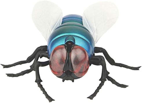 Téléchargement gratuit Images Stobok Jouet Simulation Mini Mouche Telecommande Mini Insecte dernière salutations