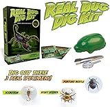 Real Insect Excavation Kit  Dig, Discover, and Collect 3 Real Bugs!