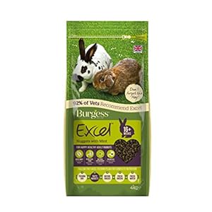 Burgess Excel Nuggets with Mint Adult Rabbit Food, 4 kg