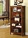 Furniture of America Liverpool Mission Style 5-Shelf Bookcase, Antique Oak Finish