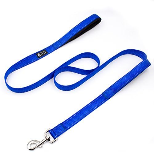ZDD Padded Handle - 6 ft Long 1 Inch Wide Perfect for Everyday Training Walking Running Best For XL Large Medium And Small Dogs (blue)