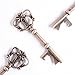 50 Key Bottle Openers, Assorted Vintage Skeleton Keys, Wedding Party Favors (50, Antique Copper)