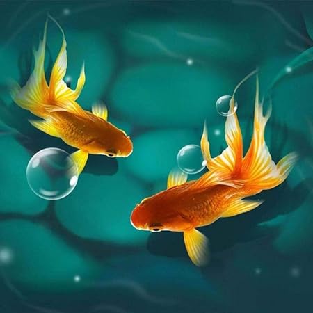 Amazon Co Jp 小さな金魚 パズル パズル幼児 親子ゲーム 3dパズル 着色されたジグソーパズル ディズニージグソーパズル 楽しいゲーム パズルのおもちゃ1000個 クリスタルパズル パズル 1000ピース フレーム ジグソーパズル フレーム ディズニー パズル ジグソーパズル