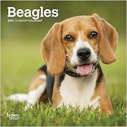 beagle x