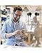 DolTech Bluetooth Headphones Hi-Fi Stereo Wireless Headphones Magnetic Earbuds Ultra Flexible Lightweight Neckband Sports Sweatproof With Mic In Ear Earphones Music Time Up To 13 Hours (Green)