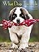 What Dogs Teach Us 2019 Engagement Calendar by 