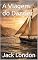 Livro A Viagem do Dazzler (Edição em Portugês): The Cruise of the Dazzler