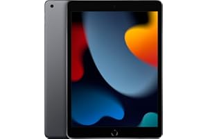 2021 Apple 10.2-inch iPad (Wi-Fi, 256GB) - Space Gray (Renewed)
