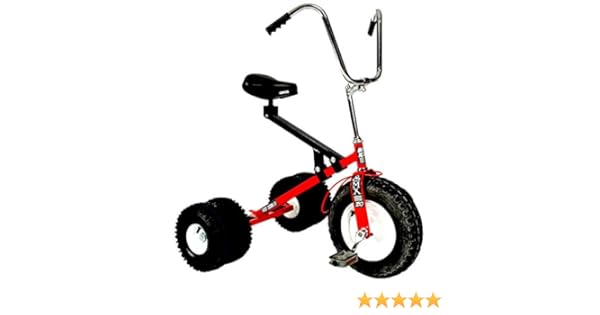 tricycle large age 4 8