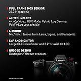 Panasonic LUMIX S1