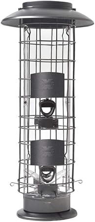 Amazon Com Squirrel X4 Squirrel Proof Bird Feeder 1 5 Lb