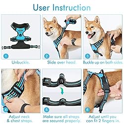 rabbitgoo Dog Harness, No-Pull Pet Harness with 2