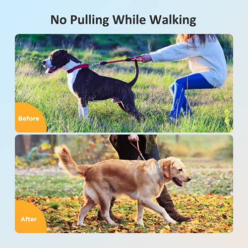 PATPET Dog Prong Collar, Dog Choke Pinch Training Collar, Adjustable Stainless Steel Links with Rubber Tips, Quick… - Image 3