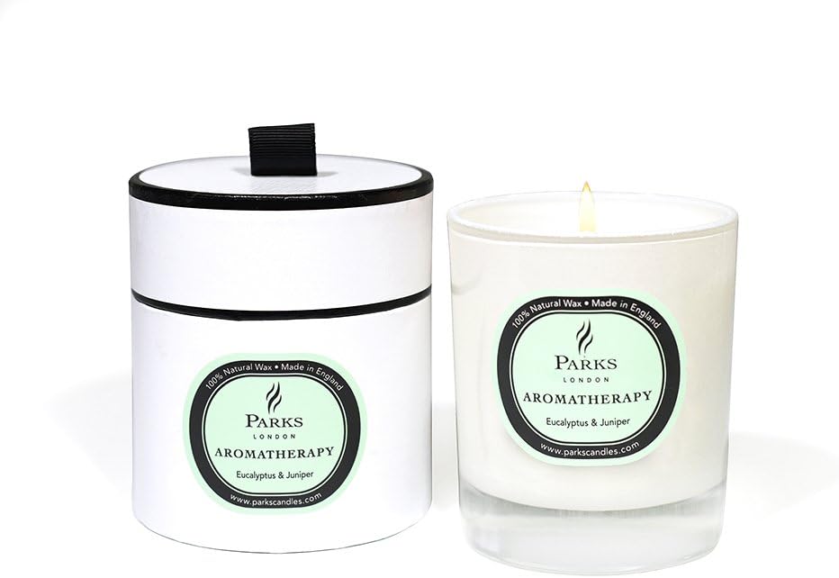 Parks London Aromatherapy One Wick Candle - Eucalyptus & Juniper