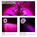 LED Plant Grow Lights, SANSI Red Light 15W Full Spectrum E26 LED Grow Lights Bulb for Indoor Plants, Grow Bulbs for Vegetable, Seedling, Hydroponics and Greenhouse