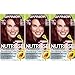 Garnier Hair Color Nutrisse Ultra Coverage Nourishing Hair Color Creme, Cinnamon Whiskey 550, Pack of 3