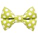 Business Cat Bow Tie - 2 Piece Set with Breakaway Collar (The Chairman Set)
