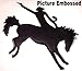 Cookie Jar, Cowboy Western Cowboy Decor