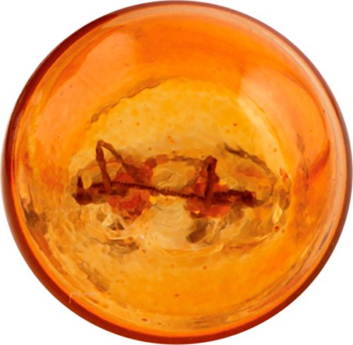 Philips 194NA LongerLife Miniature Bulb, 2 Pack