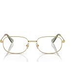 Swarovski womens Sk1005 Rectangular Prescription Eyewear Frames