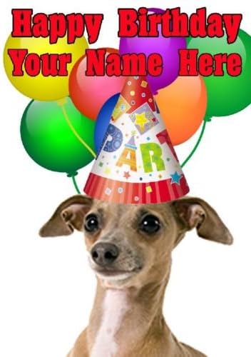 Carte D Anniversaire Codeigt Avec Levrier Italien Format A5 Personnalisable Amazon Fr Fournitures De Bureau