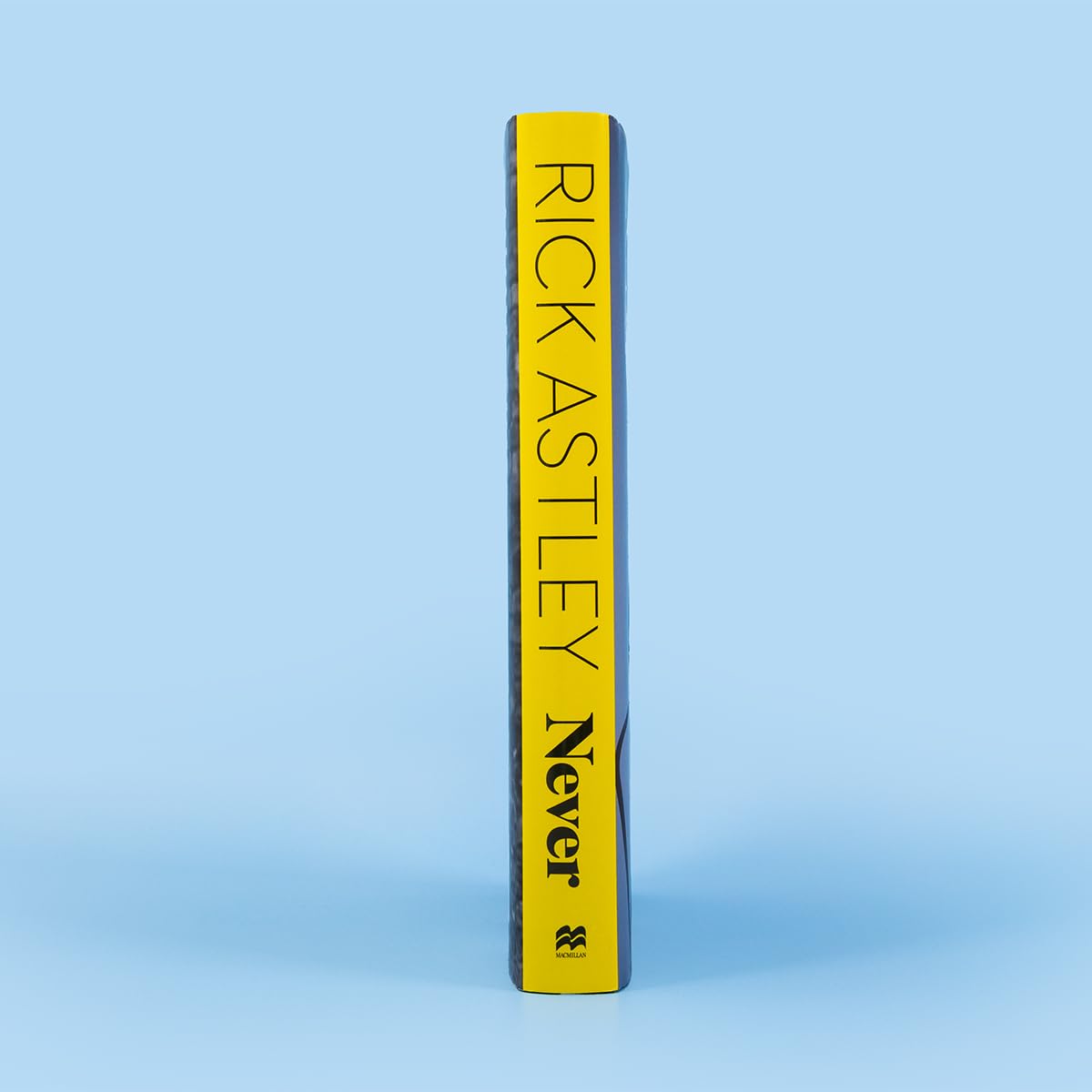 Never: The Autobiography