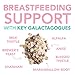 Pink Stork Lactation Cookie Mix: Organic Breastfeeding Support, 7 Galactagogues, Without Fenugreek, Oats & Chocolate Chips, Women-Owned, 16 oz.